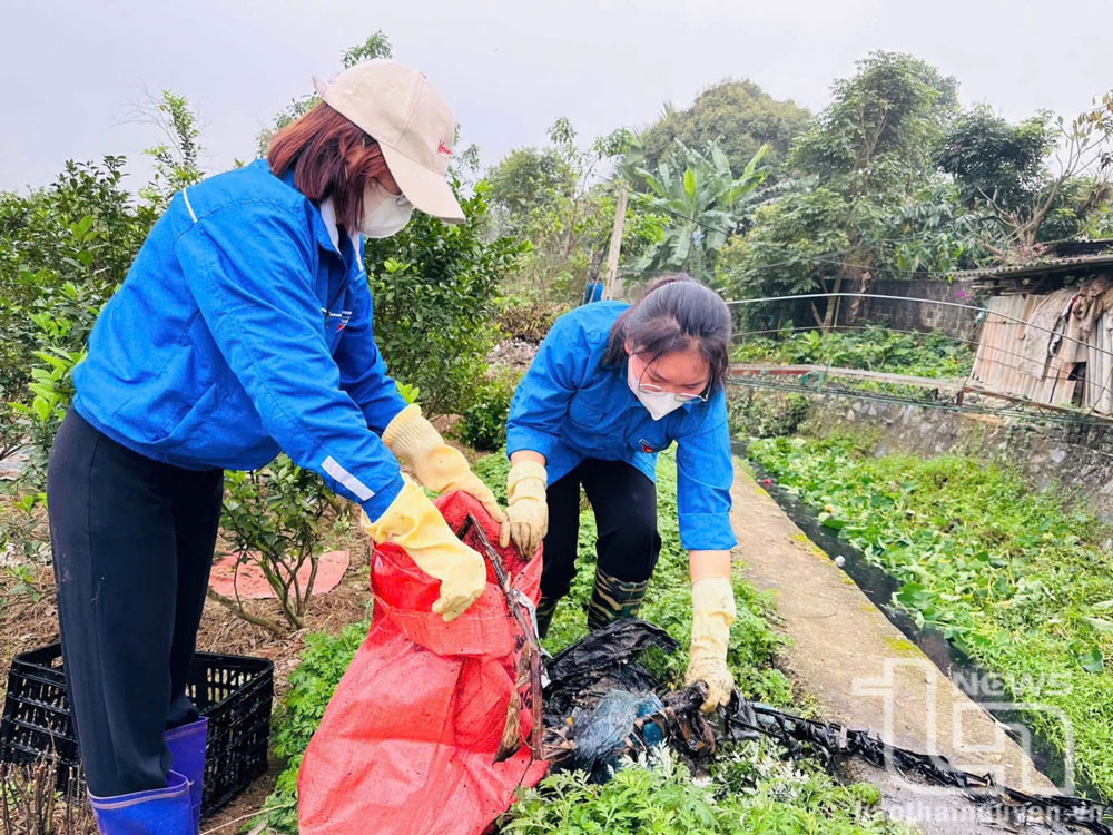 Thời gian qua, đoàn viên thanh niên huyện Đại Từ tích cực tham gia nhiều hoạt động góp phần xây dựng nông thôn mới, đô thị văn minh.