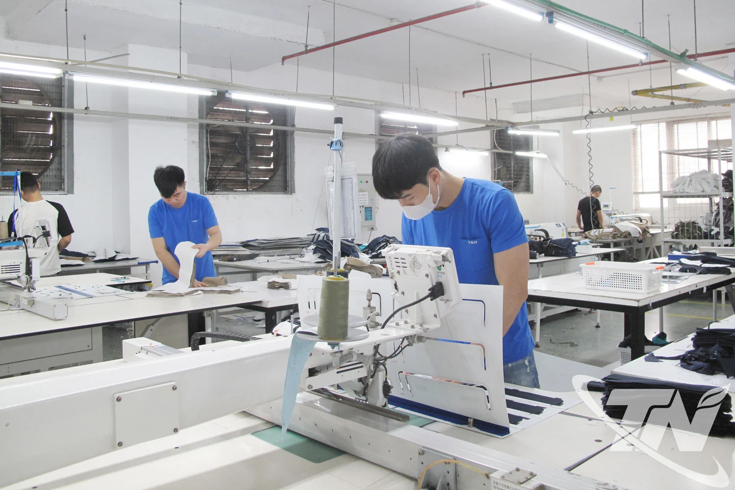 各企业总注册资金达近200万亿越盾