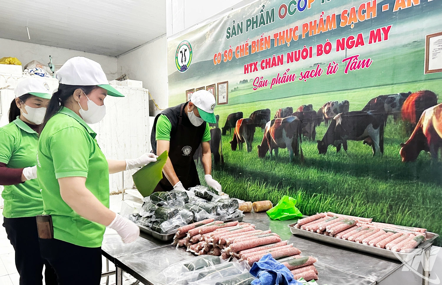 Chăn nuôi theo chuỗi khép kín từ chuồng trại đến sản xuất, chế biến sản phẩm cung cấp cho người tiêu dùng 
là định hướng chiến lược của tỉnh, góp phần nâng cao giá trị sản xuất. Trong ảnh: Chế biến sản phẩm tại HTX 
chăn nuôi bò Nga My, xã Điềm Thuỵ.