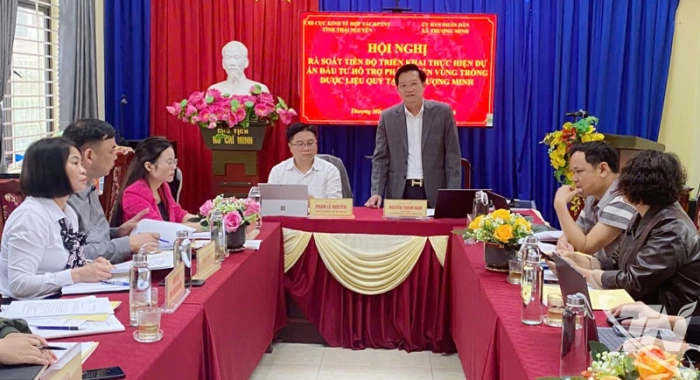 Đẩy nhanh tiến độ triển khai Dự án phát triển vùng trồng dược liệu quý