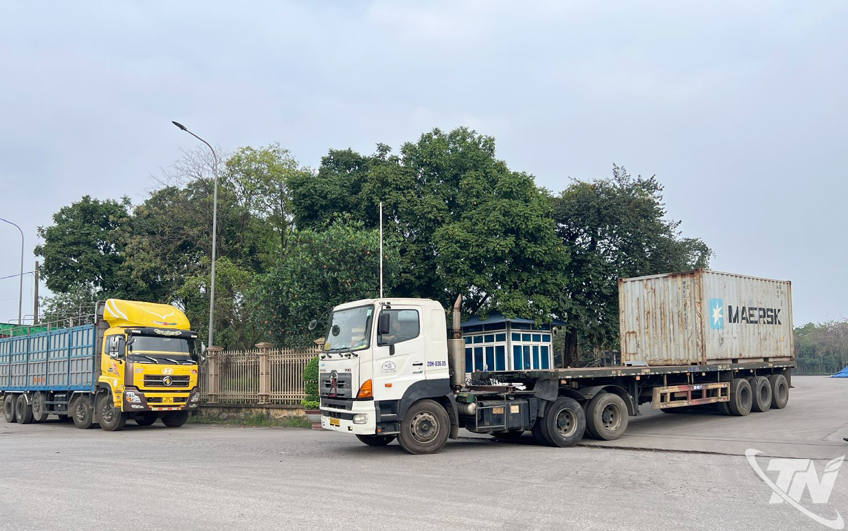 Hoạt động kết nối do Hiệp hội Vận tải tỉnh Thái Nguyên tổ chức giúp doanh nghiệp logistics mở rộng đối tác, tăng khả năng tham gia chuỗi cung ứng.