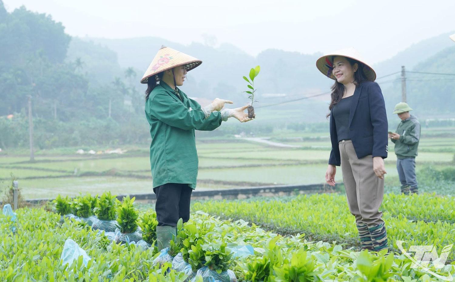 Bà con nông dân xã Yên Trạch chủ động chuẩn bị cây giống, sẵn sàng bước vào vụ trồng rừng.
