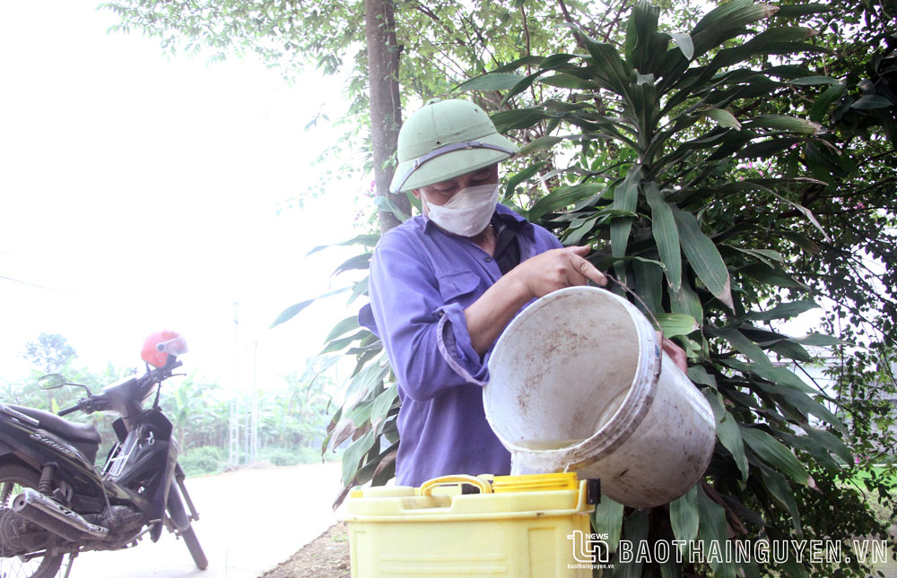 Ông Đỗ Văn Sinh (ở tổ dân phố Tân Trung, phường Lương Sơn, TP. Sông Công) phun thuốc trừ sâu cho lúa.