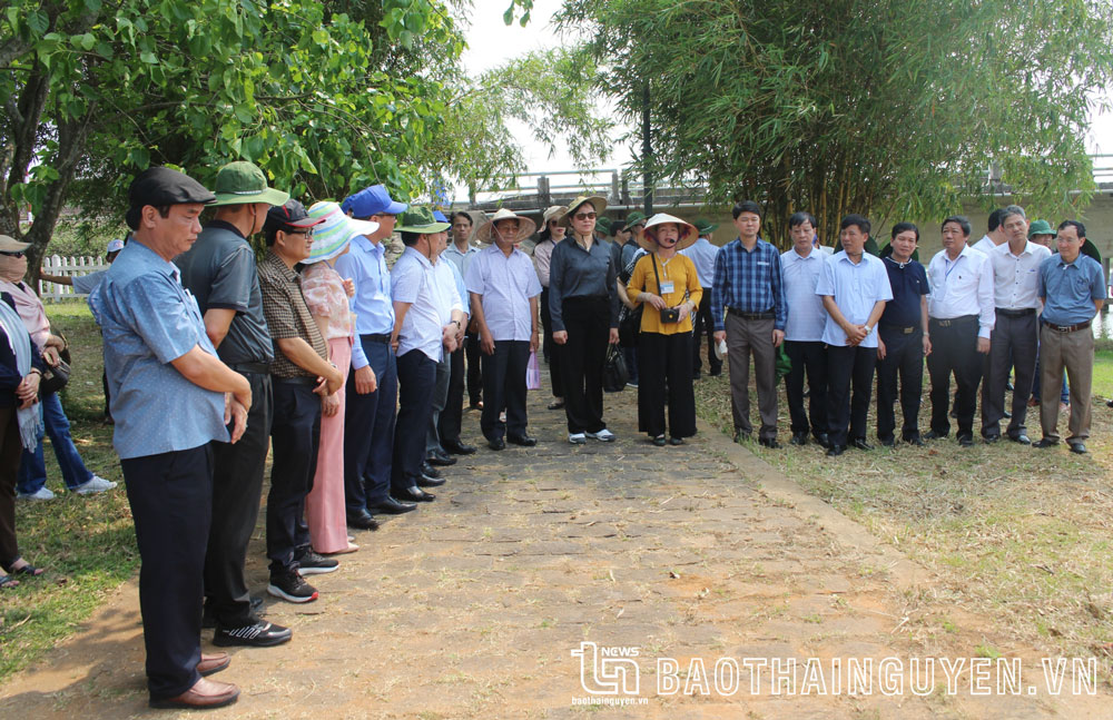 Các đại biểu tham quan Cụm di tích Đôi bờ Hiền Lương - Bến Hải.