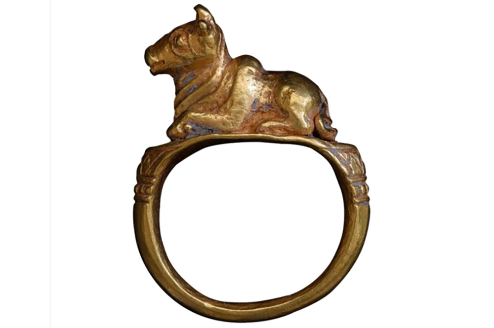 Bảo vật quốc gia nhẫn vàng hình bò Nandin. (Ảnh: Cục Di sản cung cấp)