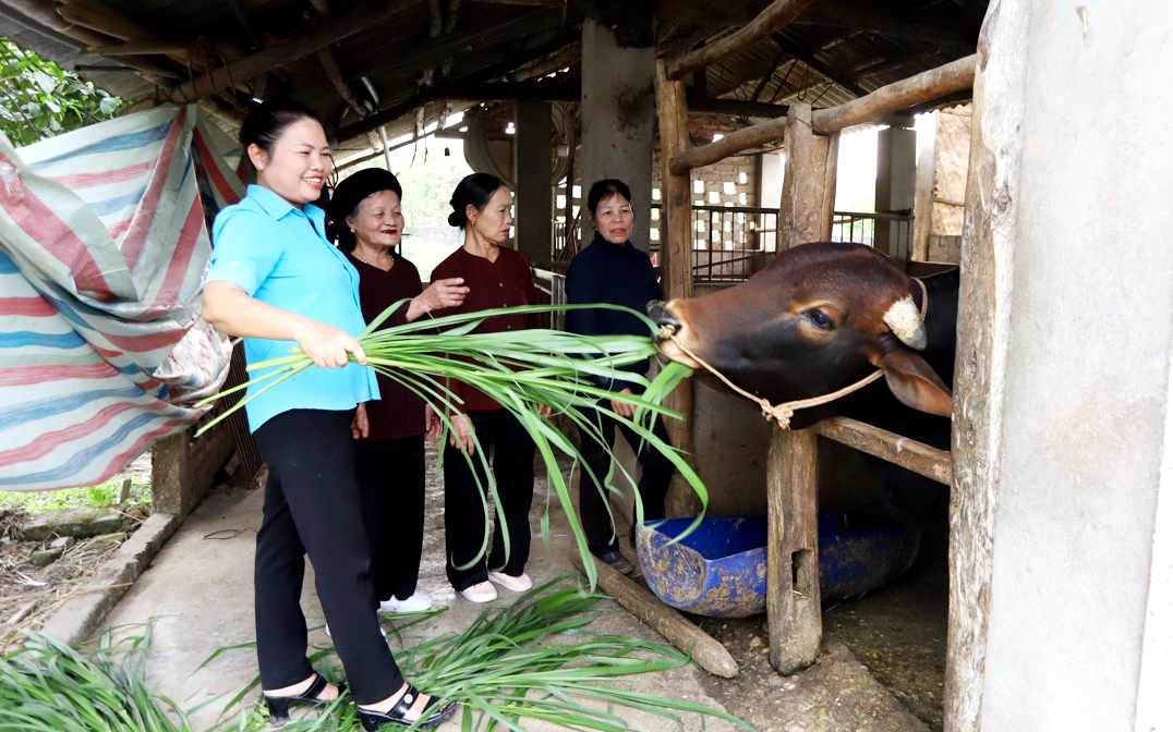 Hội LHPN xã Bảo Lý (Phú Bình) đã lồng ghép nhiều chương trình để hỗ trợ hội viên phát triển kinh tế, gắn với sản xuất nông nghiệp.