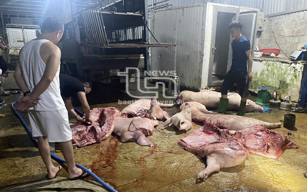 Số thịt lợn và sản phẩm từ lợn không rõ nguồn gốc xuất xứ được anh Lê Văn D. mua về để bán kiếm lời.