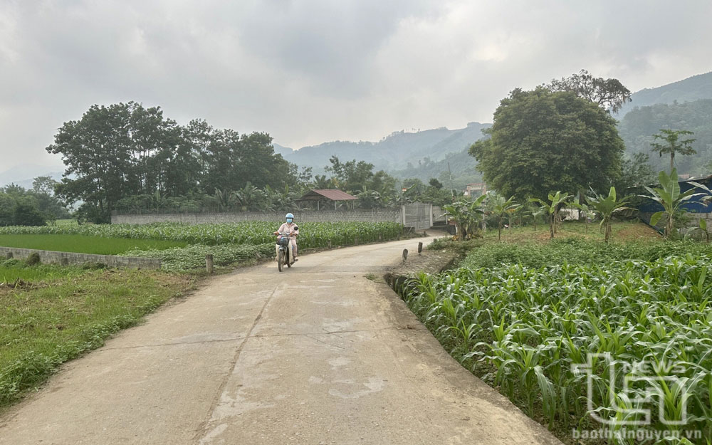 Được sự quan tâm của Nhà nước và đóng góp của nhân dân địa phương, con đường vào xóm Cao Lầm (xã Phú Thượng, Võ Nhai) đã được đầu tư xây dựng, tạo điều kiện thuận lợi cho việc đi lại, giao thương của bà con.