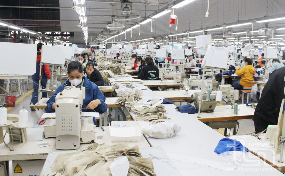 TNG贸易与投资股份公司的服务出口的纺织品服装生产