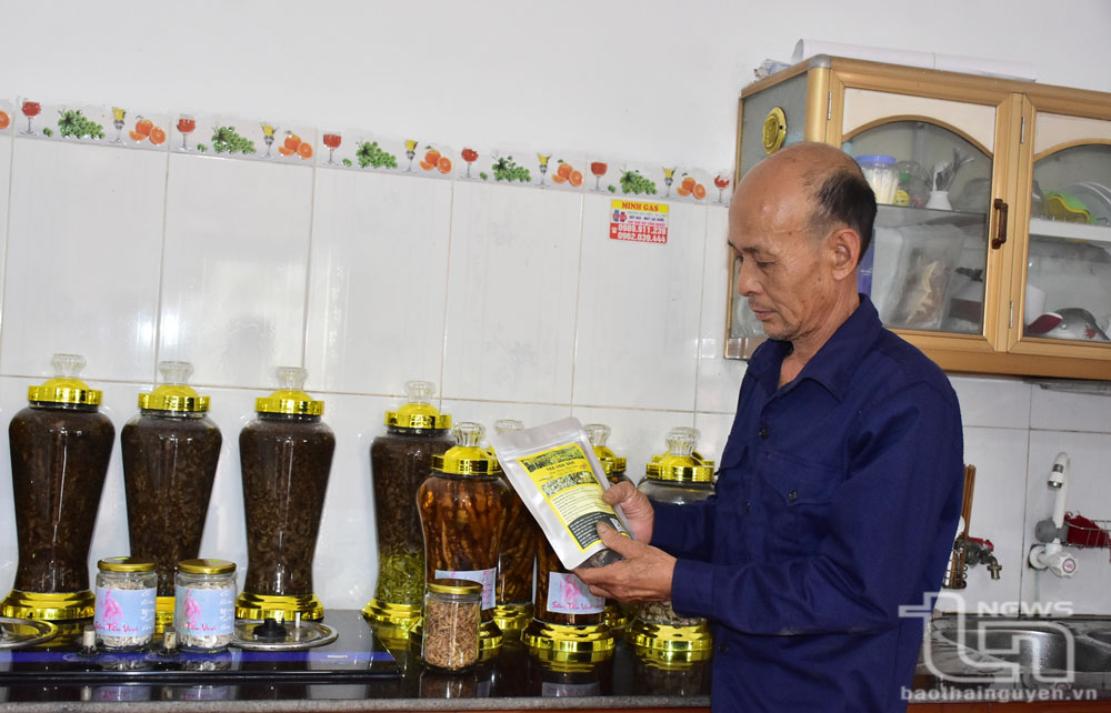 Ông Nguyễn Đức Hiền đang xây dựng trà hoa sâm là sản phẩm OCOP của xã Phấn Mễ, (Phú Lương).