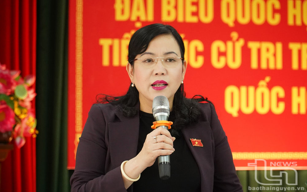 Đồng chí Bí thư Tỉnh ủy, Trưởng Đoàn ĐBQH tỉnh Nguyễn Thanh Hải tiếp thu các ý kiến, kiến nghị của cử tri.
