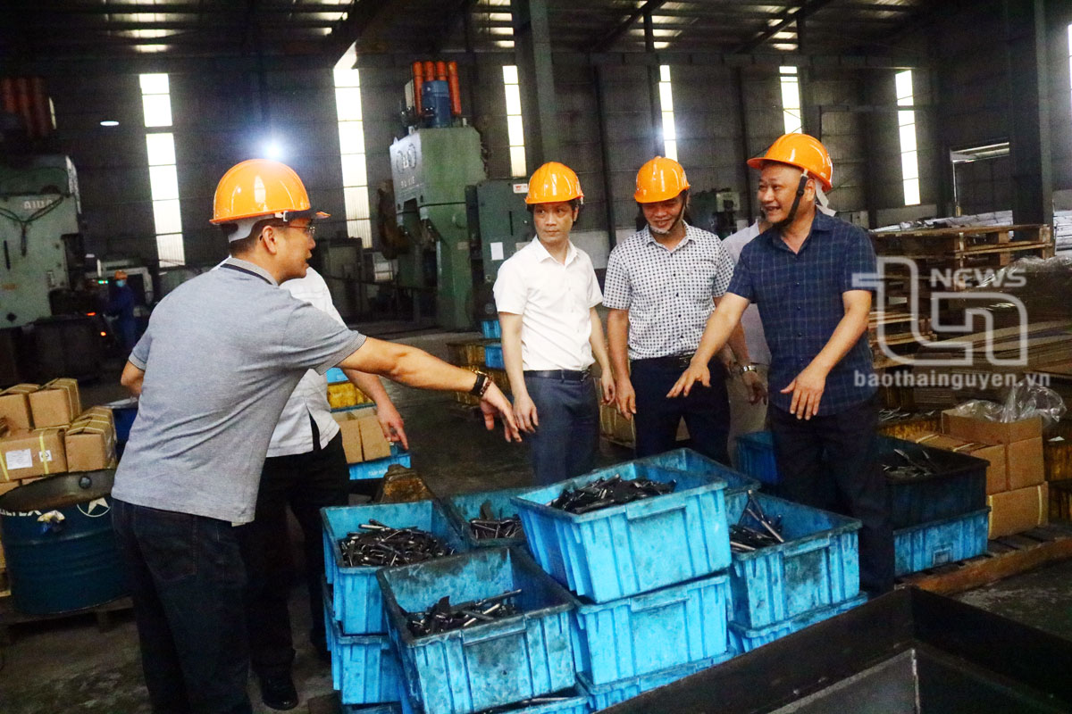 Các thành viên Hội đồng an toàn - vệ sinh lao động tỉnh thực hiện kiểm tra tại Công ty TNHH MTV Tam Hữu