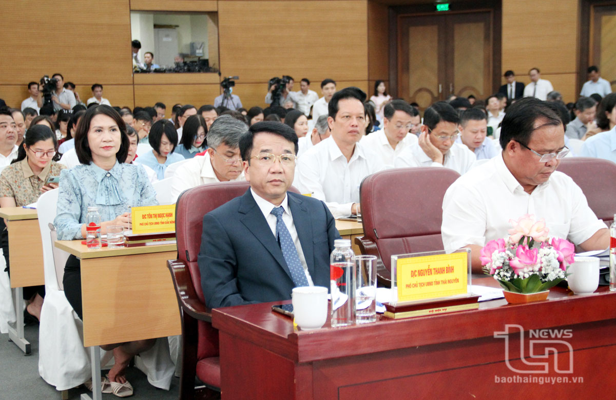 Mr. Nguyen Thanh Binh, Vice Chairman of the Provincial Peoples Committee, attended the conference.