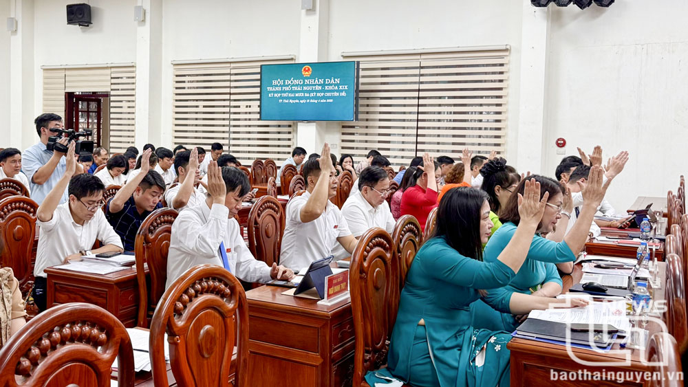 Các đại biểu biểu quyết thông qua các báo cáo, tờ trình, dự thảo nghị quyết.

