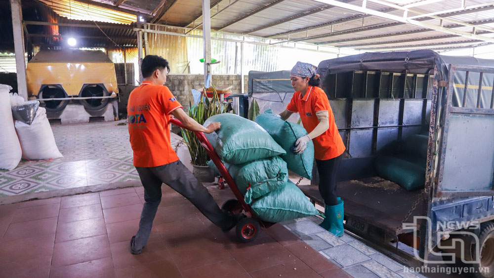 Thành viên HTX Thái Nguyên Tota vận chuyển nhiên liệu sạch cho lò đốt cấp nhiệt tại các hộ sản xuất chè trên địa bàn huyện Đại Từ.