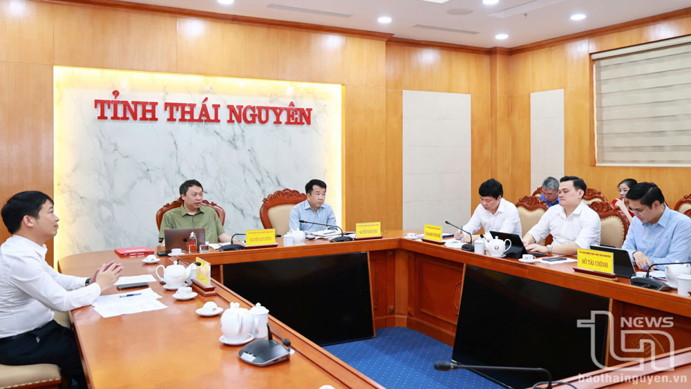 太原省人民委员会主席阮辉勇和省人民委员会常务副主席阮清平共同主持会议。