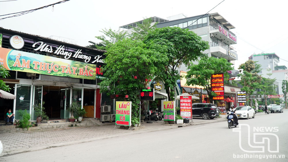 Nhiều nhà hàng, quán ăn rơi vào tình trạng vắng vẻ, ế khách.