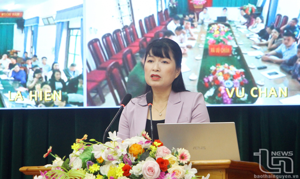 Đồng chí Hà Thị Bích Hồng, Bí thư Huyện ủy, Chủ tịch HĐND huyện Võ Nhai, phát biểu tại Hội nghị.
