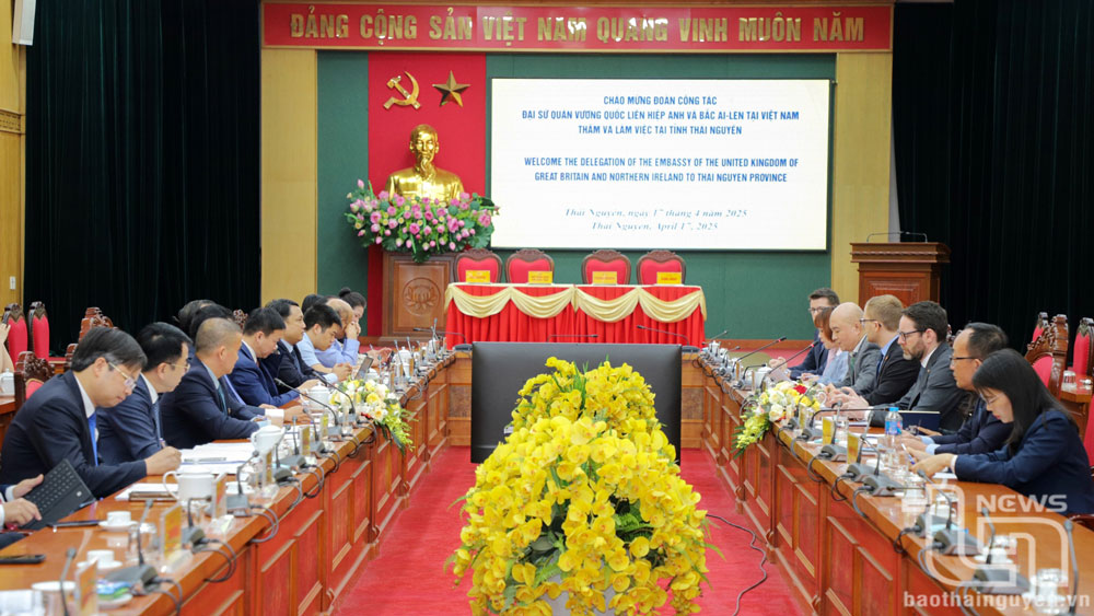 Các đại biểu tại Chương trình làm việc.