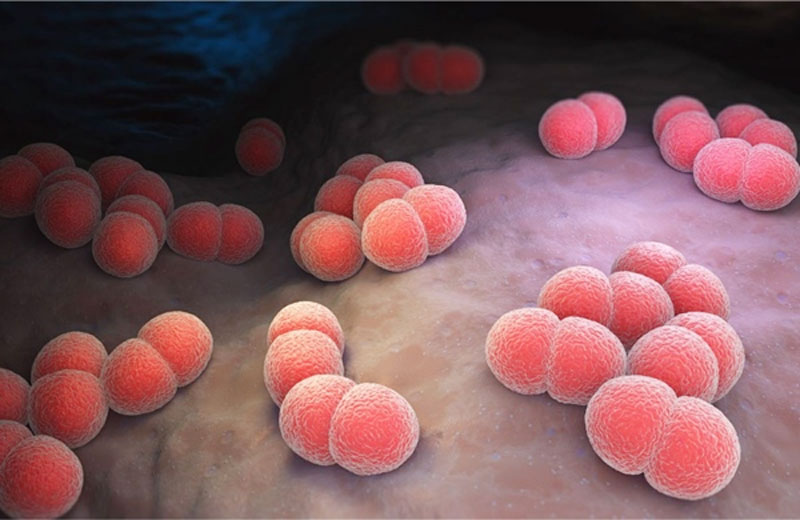 theo báo cáo giám sát từ tuần 1 đến tuần 14 năm 2026, cả nước ghi nhận 24 trường hợp mắc, trong đó có 4 trường hợp tử vong. (Ảnh: Minh họa)