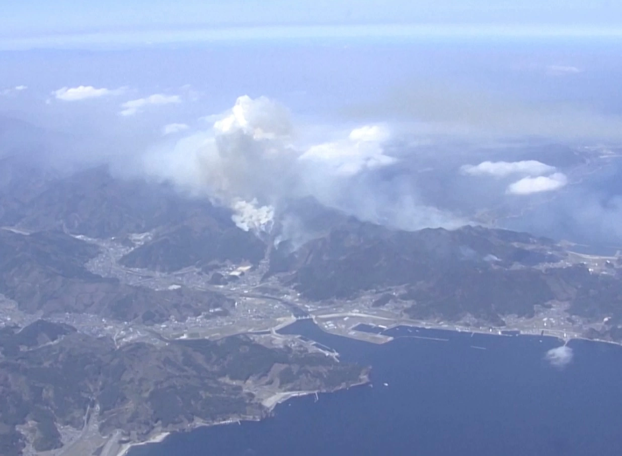 Các đám cháy đã thiêu rụi hơn 730 ha rừng và buộc 1.541 hộ gia đình phải sơ tán. 