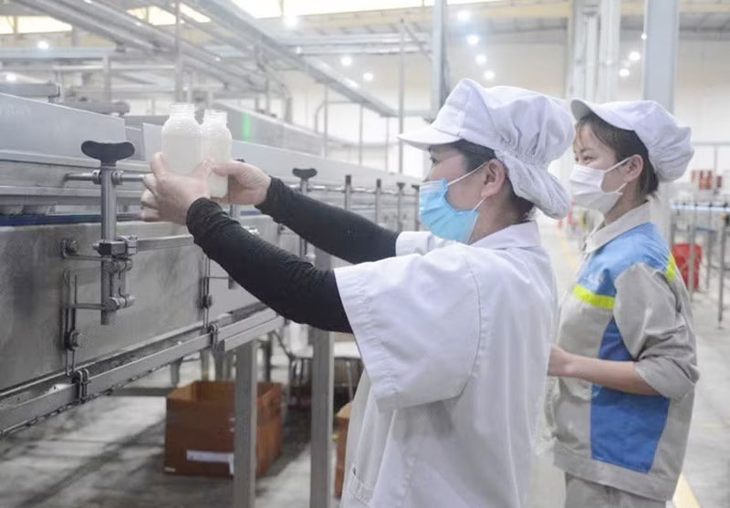 Chương trình được ban hành trên cơ sở cụ thể hóa các chủ trương của Đảng, trong đó có Nghị quyết số 57-NQ/TW và Nghị quyết số 71-NQ/TW. (Ảnh minh họa. Nguồn: TL)