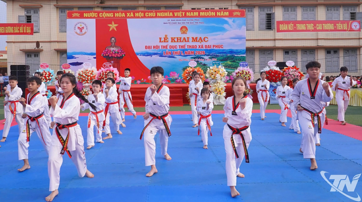 Tiết mục đồng diễn võ thuật.