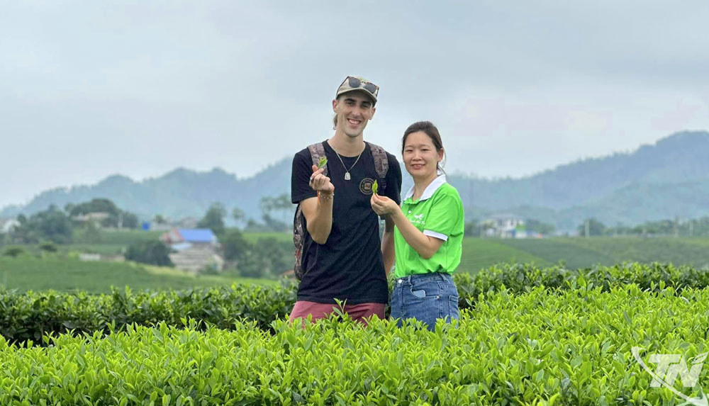 Foreign tourists are especially fond of picnicking in the province’s scenic tea-growing areas, such as Tan Cuong, La Bang, and Vo Tranh.