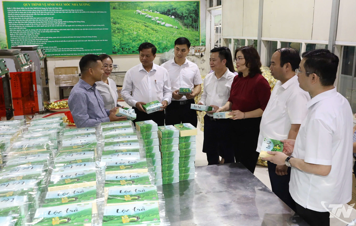 Đoàn giám sát thăm mô hình sản xuất chè của Công ty CP trà Việt Thái.