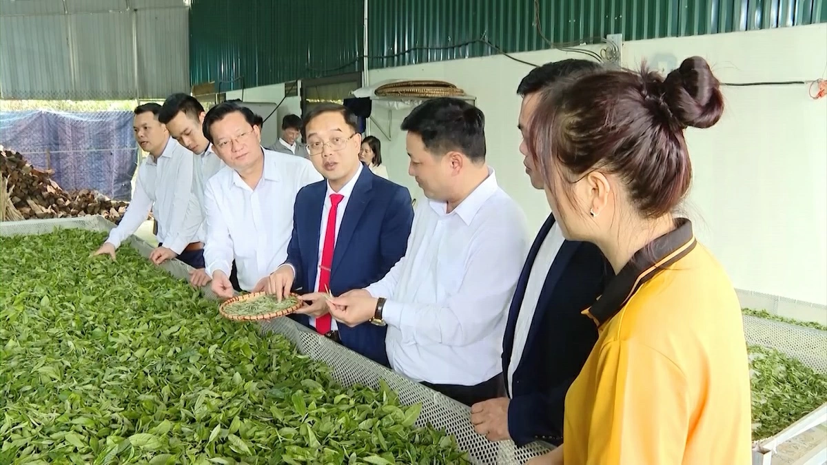 서비스 부문도 함께 육성되고 있습니다. 예를 들어 동 푹 사에서는 차 재배·가공의 품질을 높이고 브랜드를 구축하며 시장을 확대해.