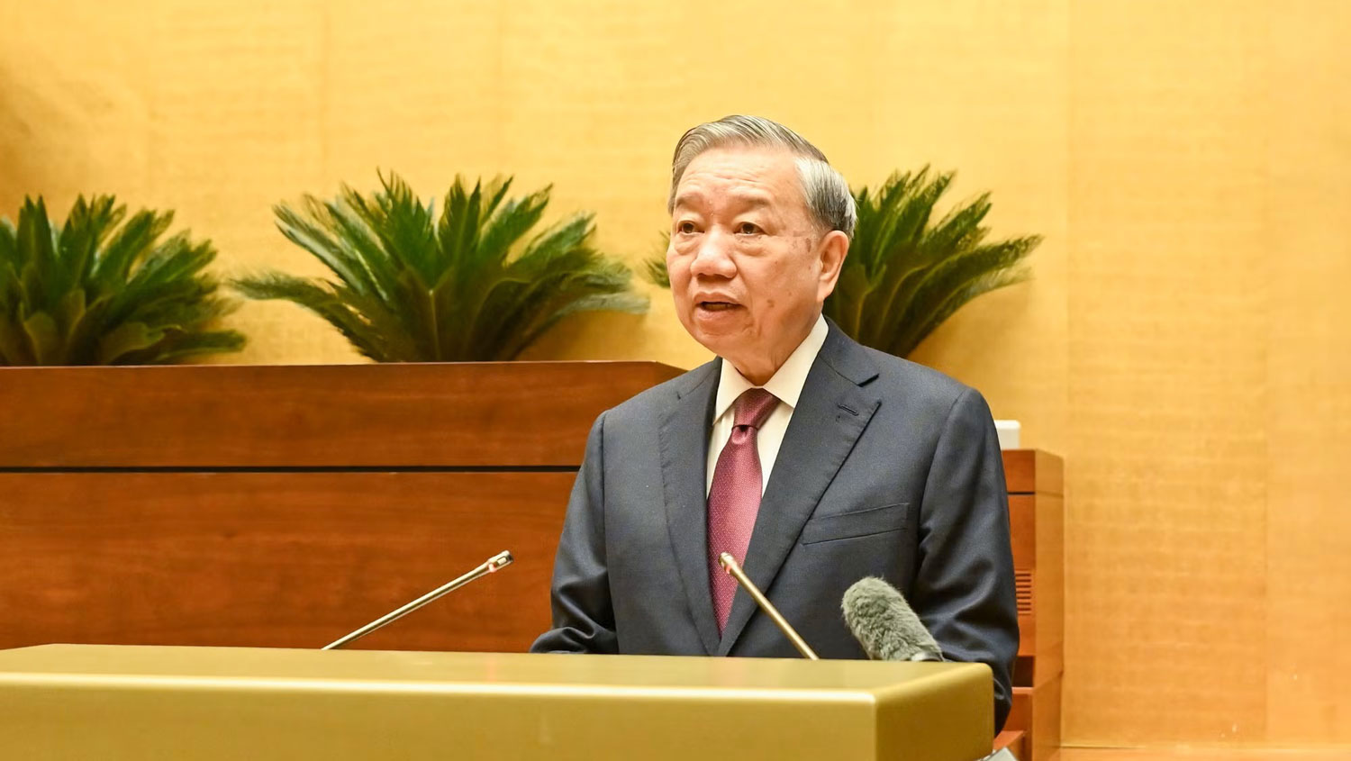 Đồng chí Tổng Bí thư, Chủ tịch nước Tô Lâm phát biểu chỉ đạo Hội nghị. Ảnh: Báo Nhân dân.