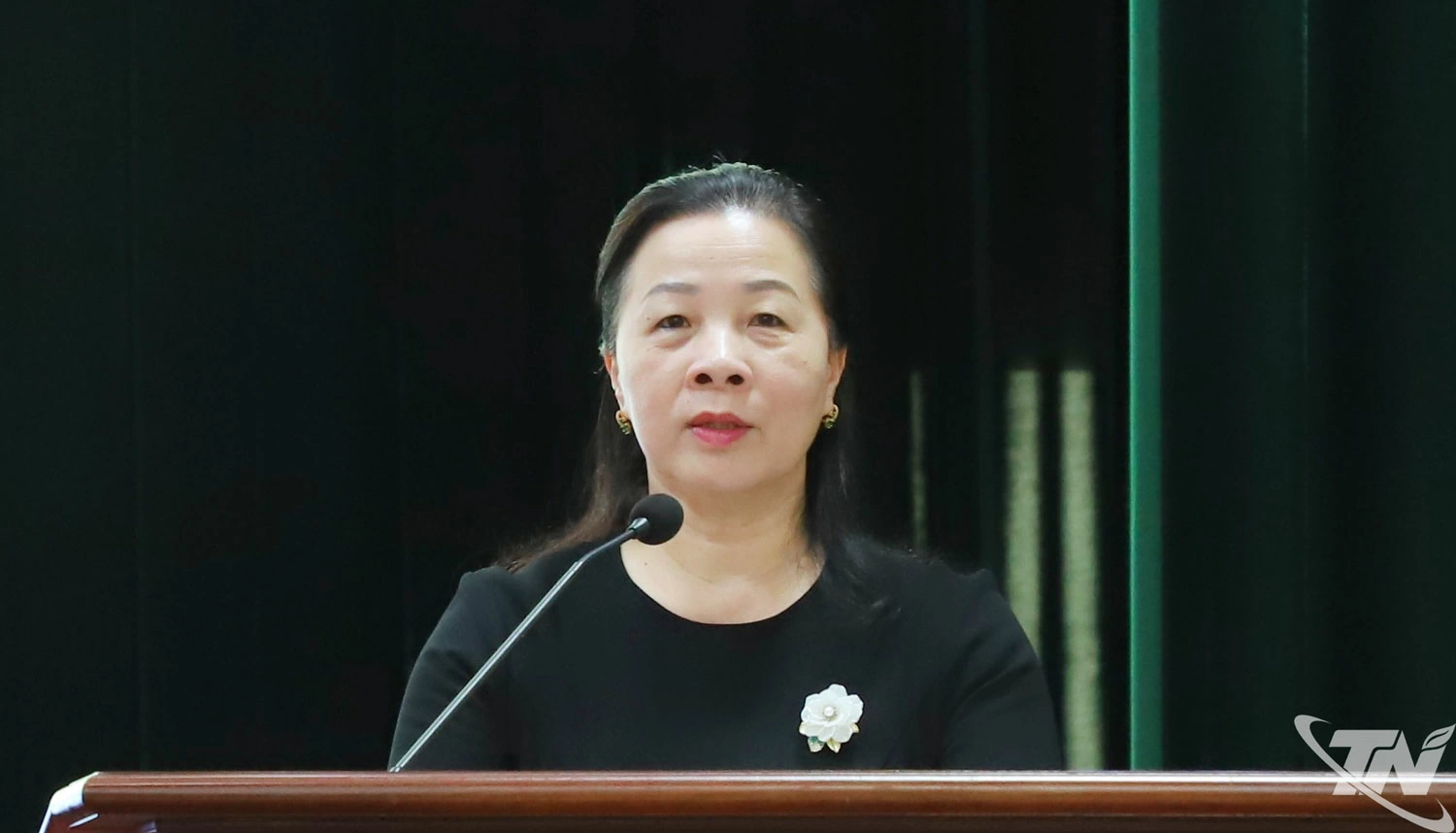 Lãnh đạo Ban Tuyên giáo và Dân vận Tỉnh ủy phát biểu tại buổi tập huấn, giao ban