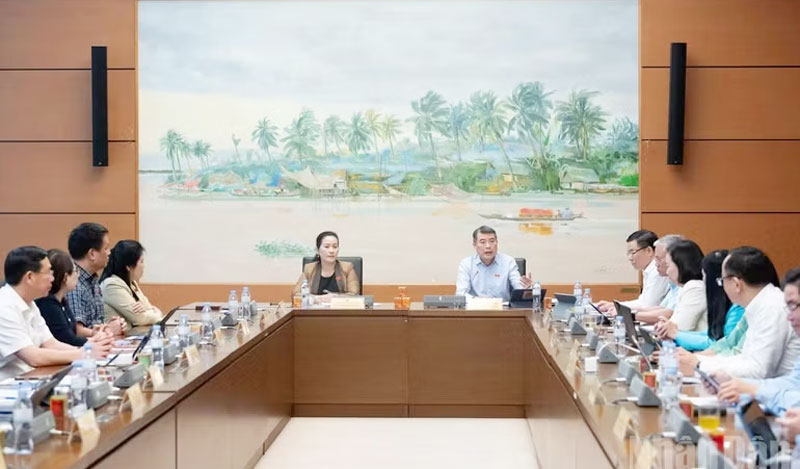 Thủ tướng Chính phủ Lê Minh Hưng nêu ý kiến thảo luận tại tổ. (Ảnh: DUY LINH)