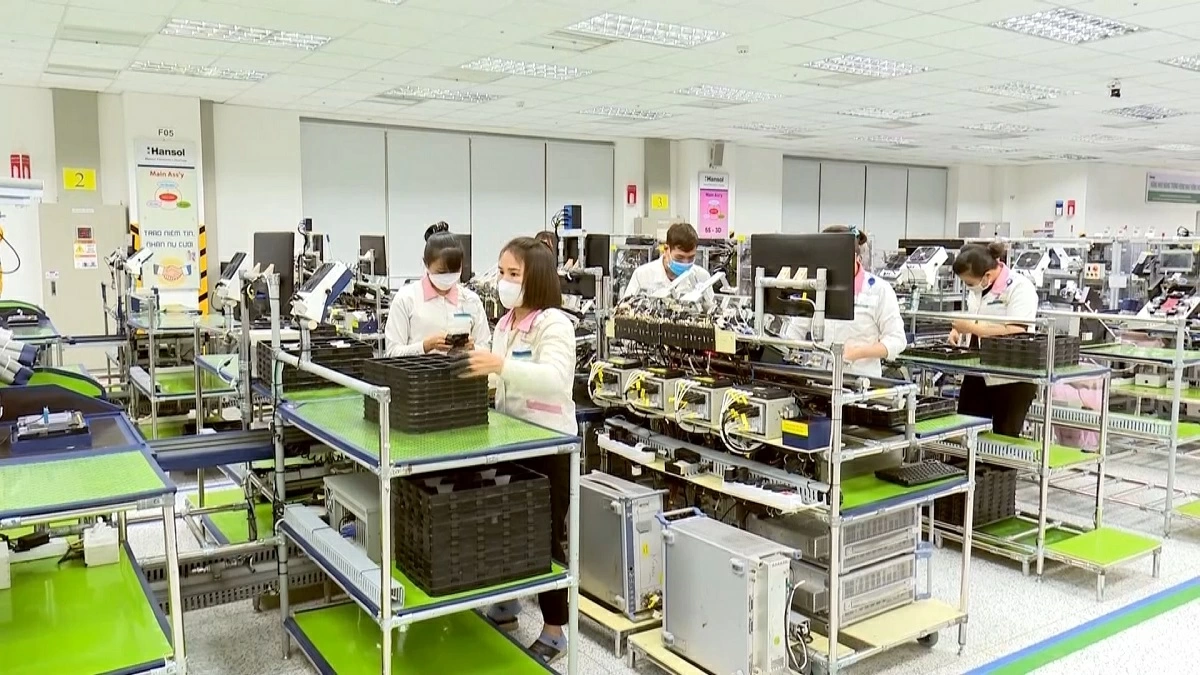 일러스트 사진.