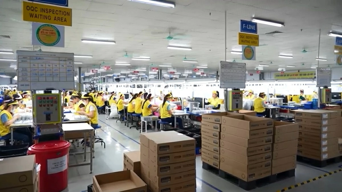 일러스트 사진.