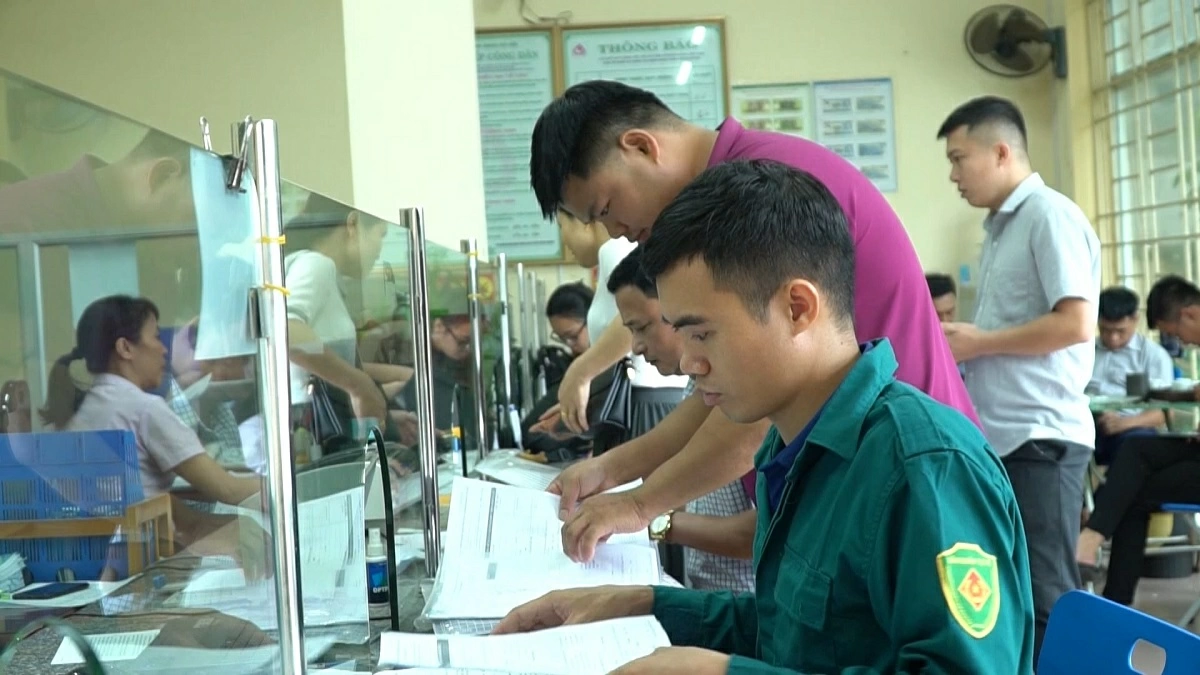 일러스트 사진.