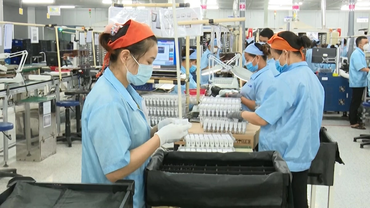 일러스트 사진.