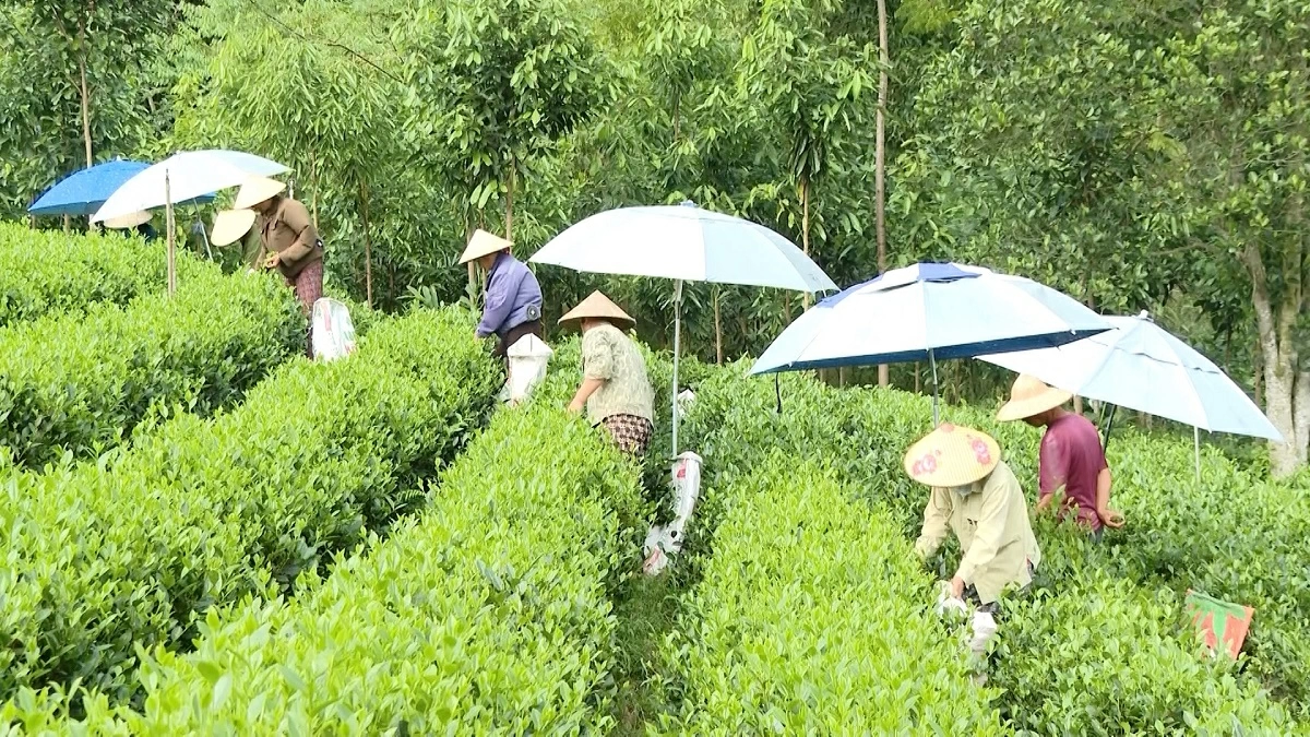 협력조직의 효율적 운영 지원.