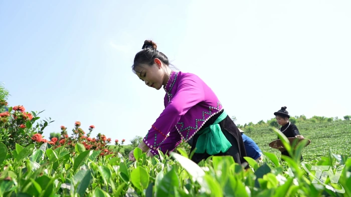 Từ giai điệu đến điểm đến