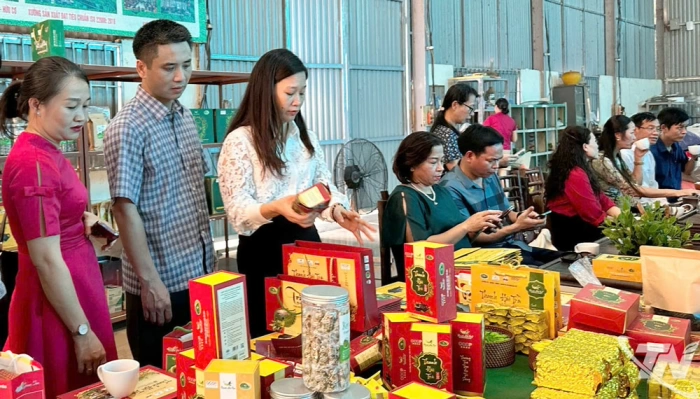 Developing resort and eco-tourism associated with tea culture