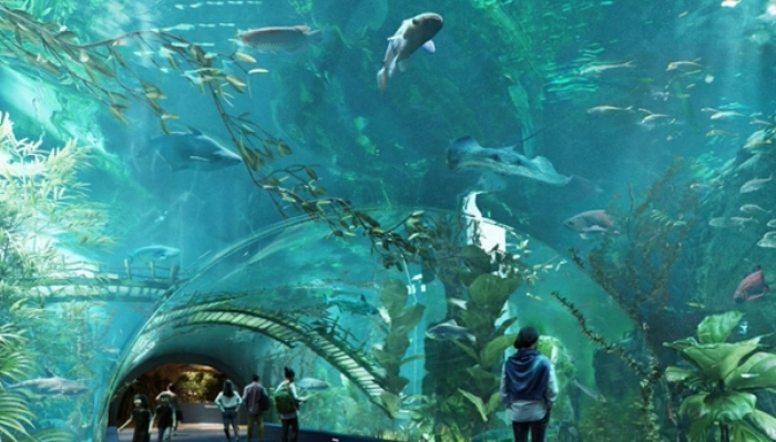 Trải nghiệm ngay Top 3 thủy cung đẹp nhất ở Hà Nội