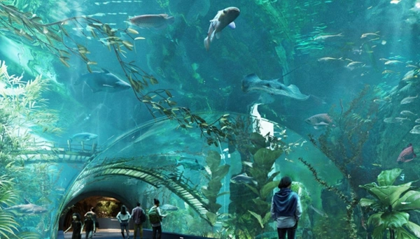 Đường hầm kính trong suốt.