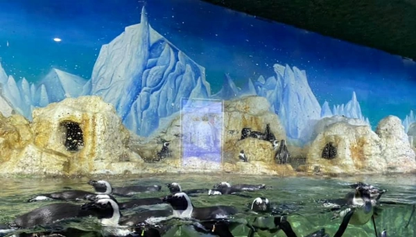 Khu chim cánh cụt ở Time City.