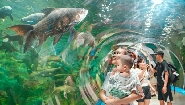 Thủy cung Thiên Đường Bảo Sơn.