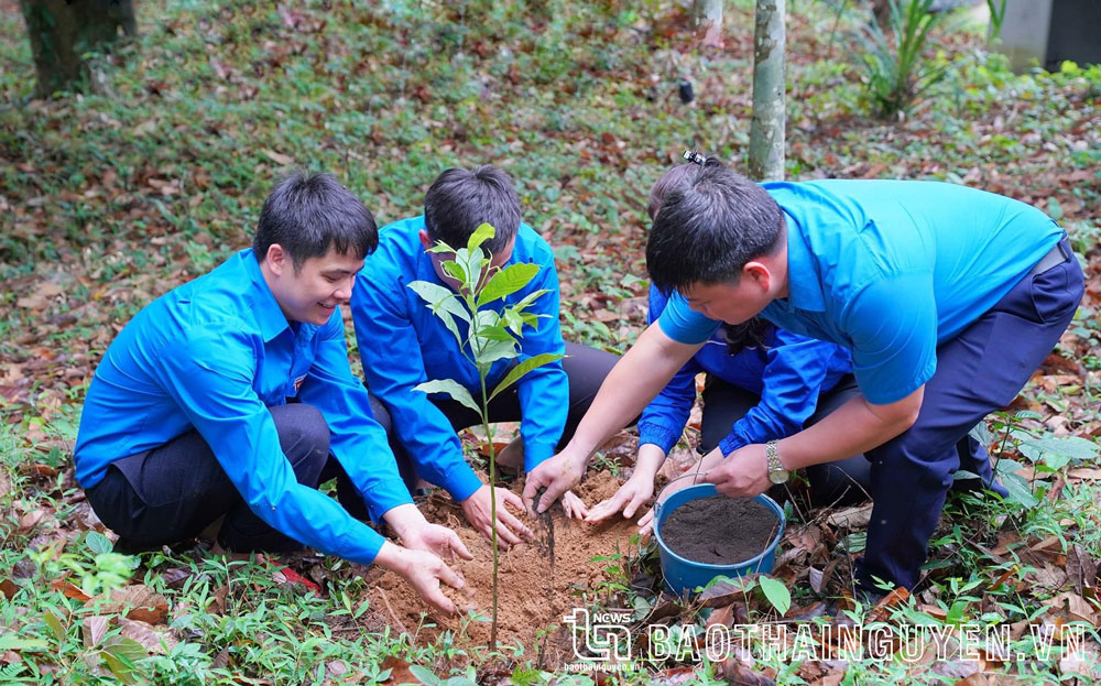 Đoàn viên thanh niên huyện Đồng Hỷ tham gia trồng cây trong phong trào Ngày thứ Bảy tình nguyện.