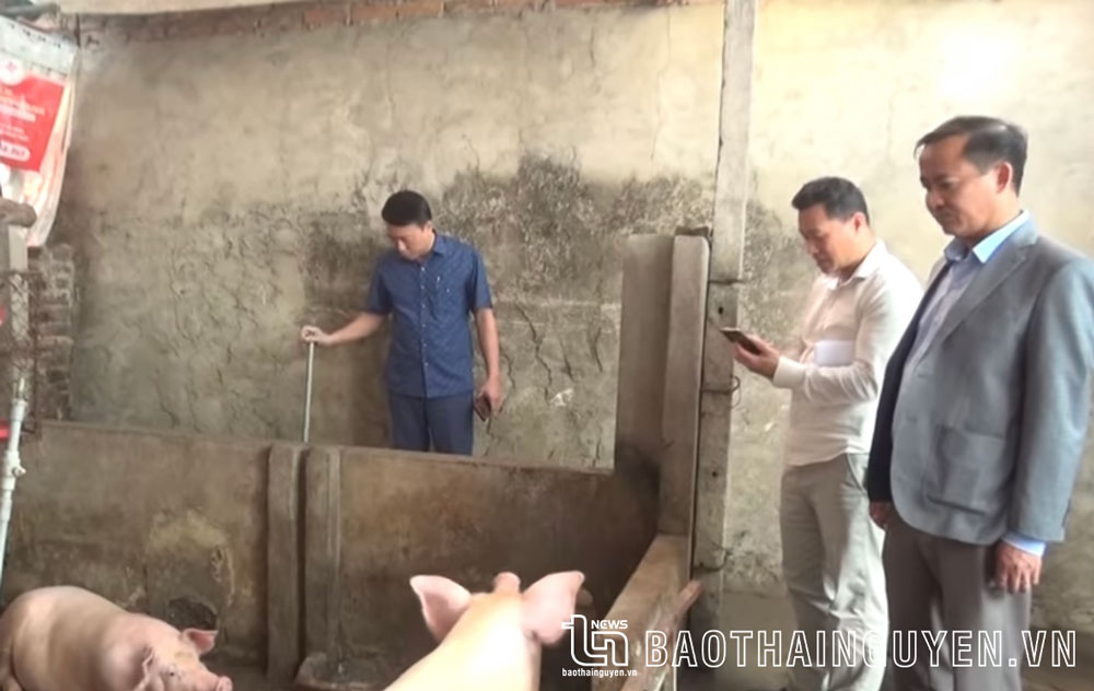 Cán bộ cấp, ngành liên quan kiểm tra tình hình các hộ chăn nuôi tại tổ dân phố Sơn Hà, thị trấn Hùng Sơn.