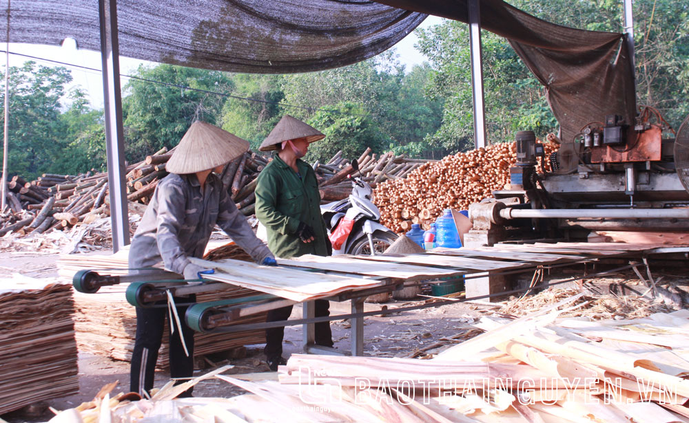 Do có vùng nguyên liệu gỗ dồi dào, nhiều doanh nghiệp, hộ gia đình trên địa bàn xã Yên Ninh đầu tư mở xưởng chế biến gỗ để phát triển kinh tế.