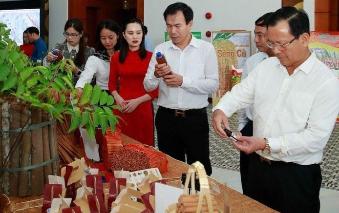 Các đại biểu tham quan gian trưng bày sản phẩm lâm nghiệp.