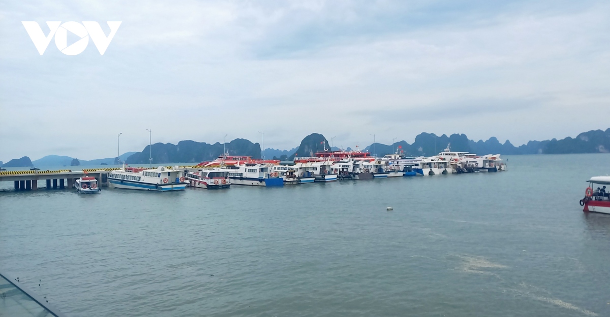 Năm 2023, huyện đảo Cô Tô (Quảng Ninh) tổ chức gần 20 sự kiện văn hóa, kích cầu du lịch và đưa sản phẩm lặn biển giải trí vào hoạt động để thu hút du khách.