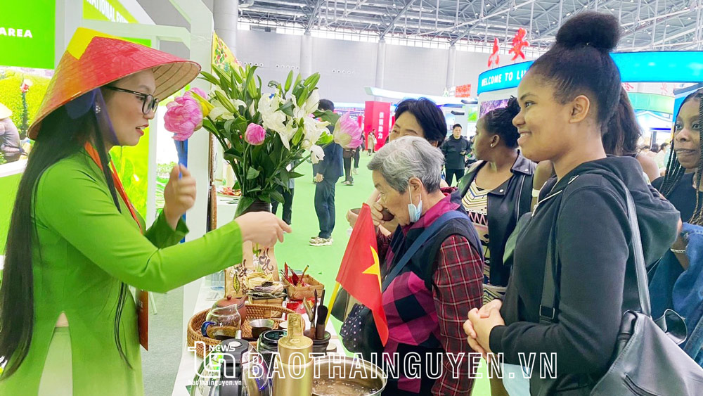 HTX Sơn Dung trà giới thiệu với du khách Quốc tế về văn hóa trà tại triển lãm Quốc tế trà An Huy, Trung Quốc vừa diễn ra từ 5-8/5.